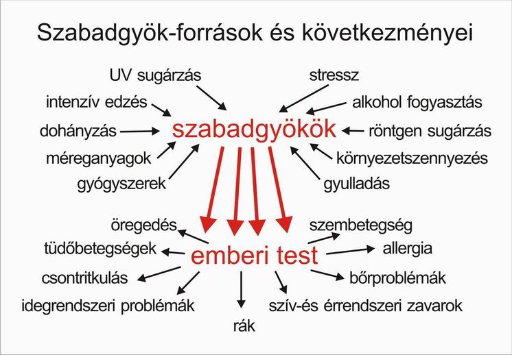 fahéjjal a cukorbetegség ellen