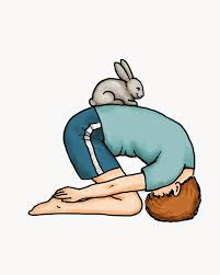 rabbit.png