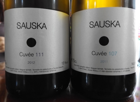 sauska5.jpg