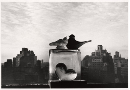 AndreKertesz_glass_birds_of_New_York_1978.jpg