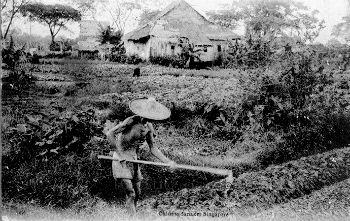 chinese farmers 1904a.jpg