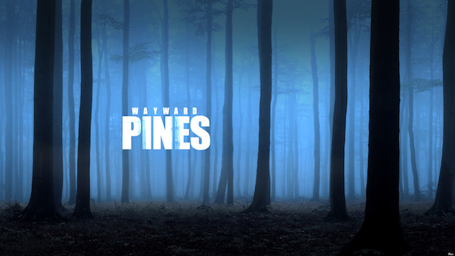Pines.jpg