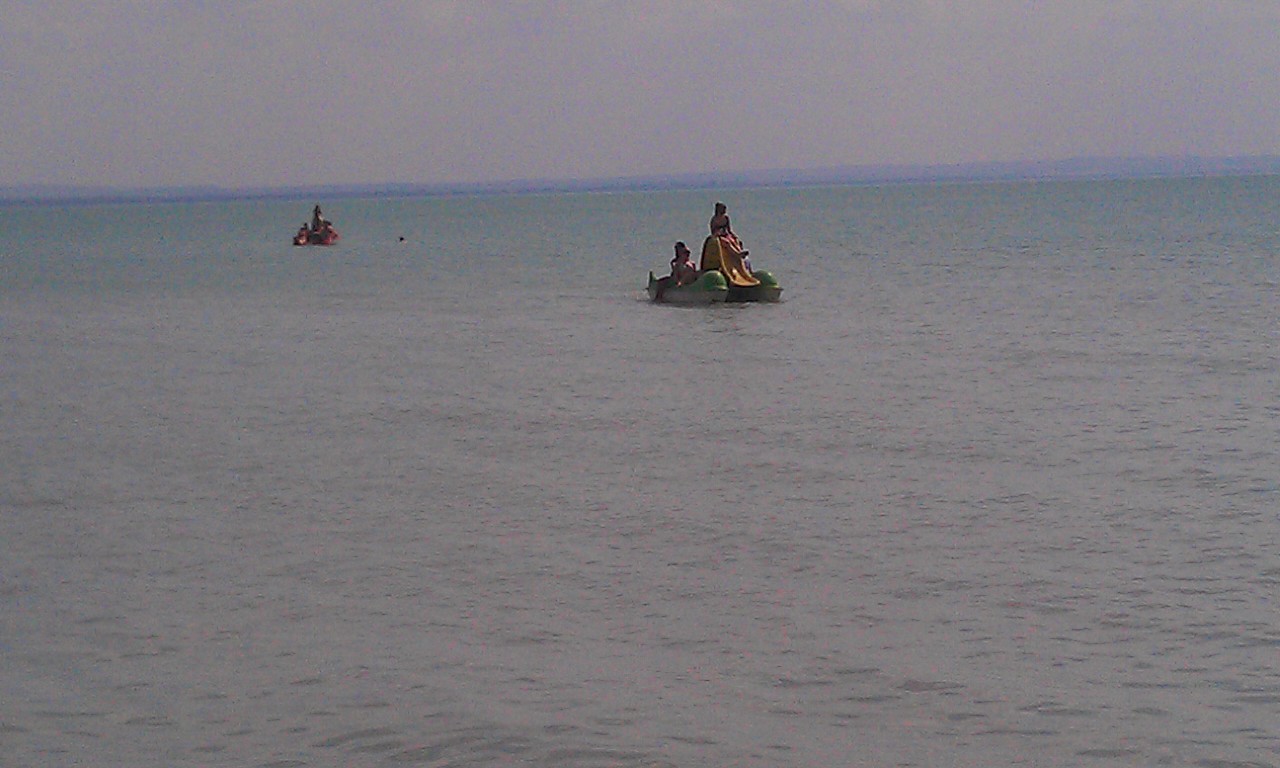 IMAG0502.jpg