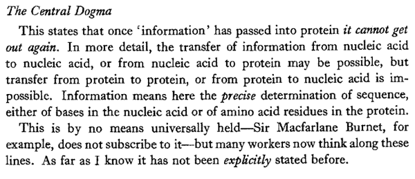 Crick1958-central_dogma.png