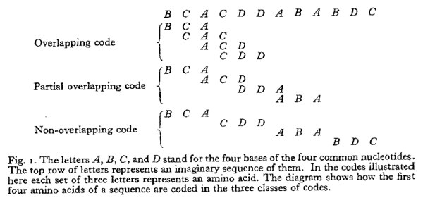 Crick1958-coding_triplets.png