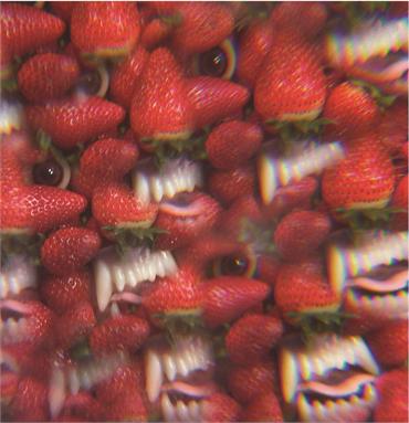 Thee-Oh-Sees-Album-cover.jpg