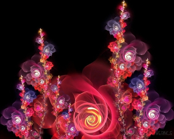 Abstraction-pink-red-fractal-flowers.jpg