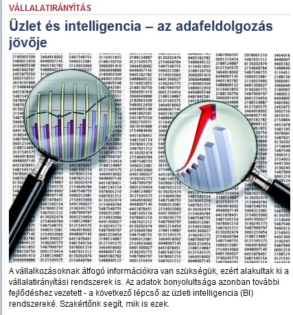 Üzleti Intelligencia (BI)