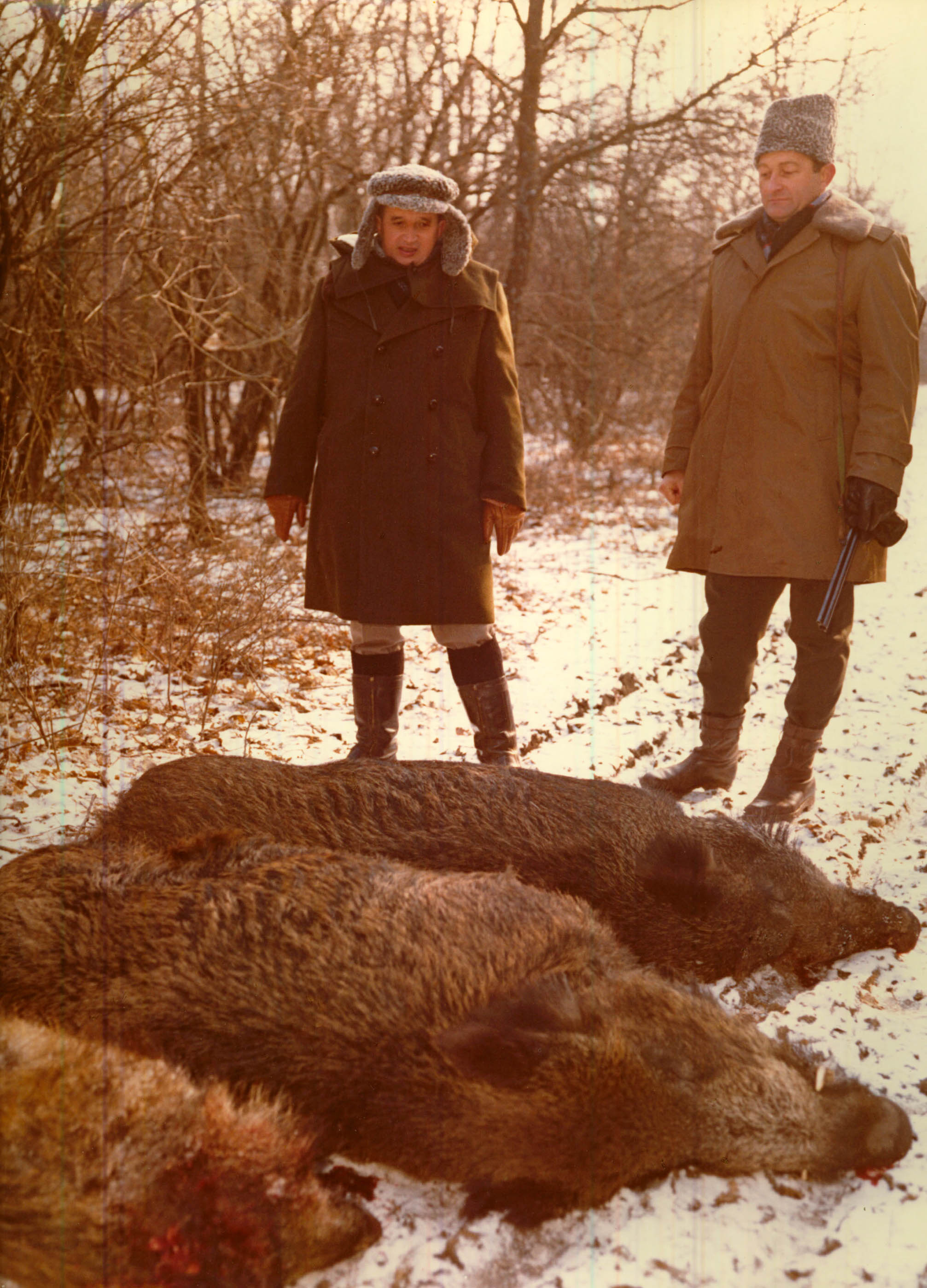 iiccr_n155_ceausescu_hunting_boars.jpg