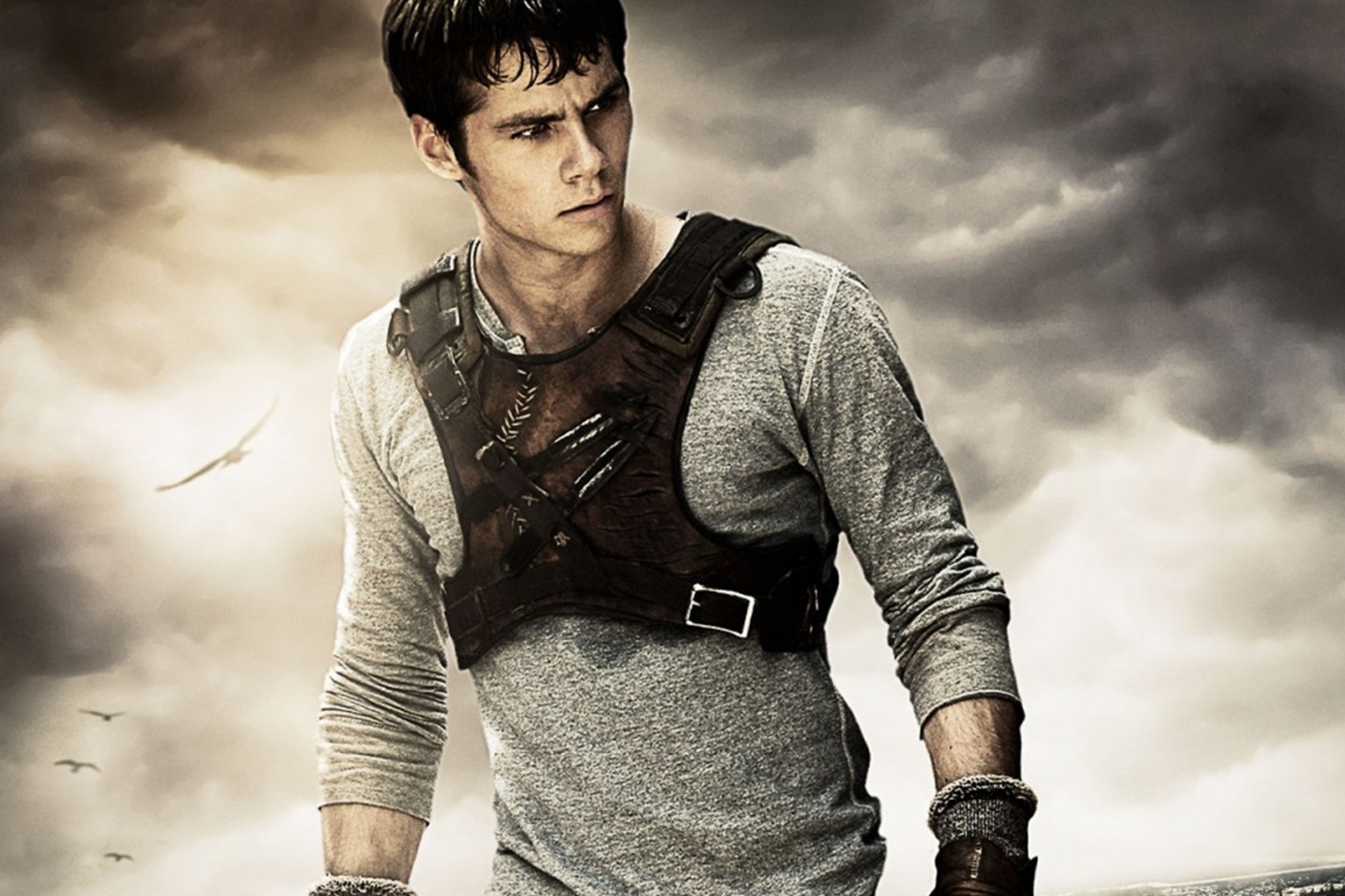 Preference 25 New Greenie Boys Maze Runner Imaginespreferences