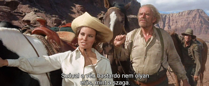 Bandolero! (1968) - Filmbook