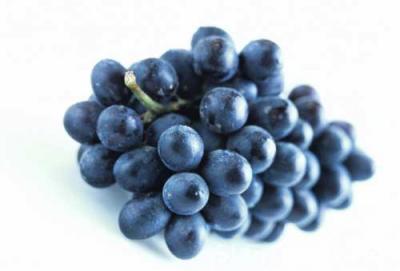 Éltető összetevőink XVI. Kékszőlő