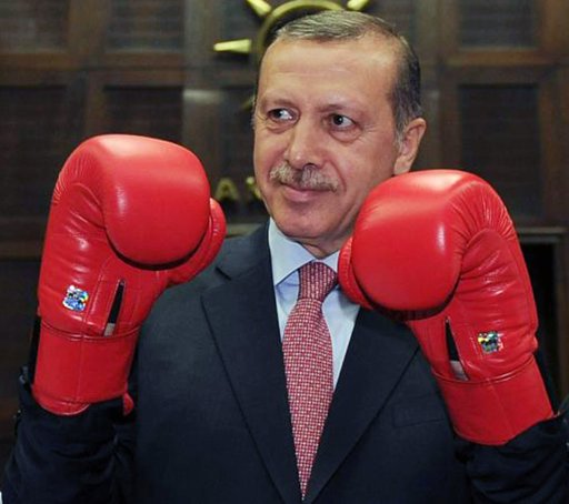 erdogan fighting.jpg
