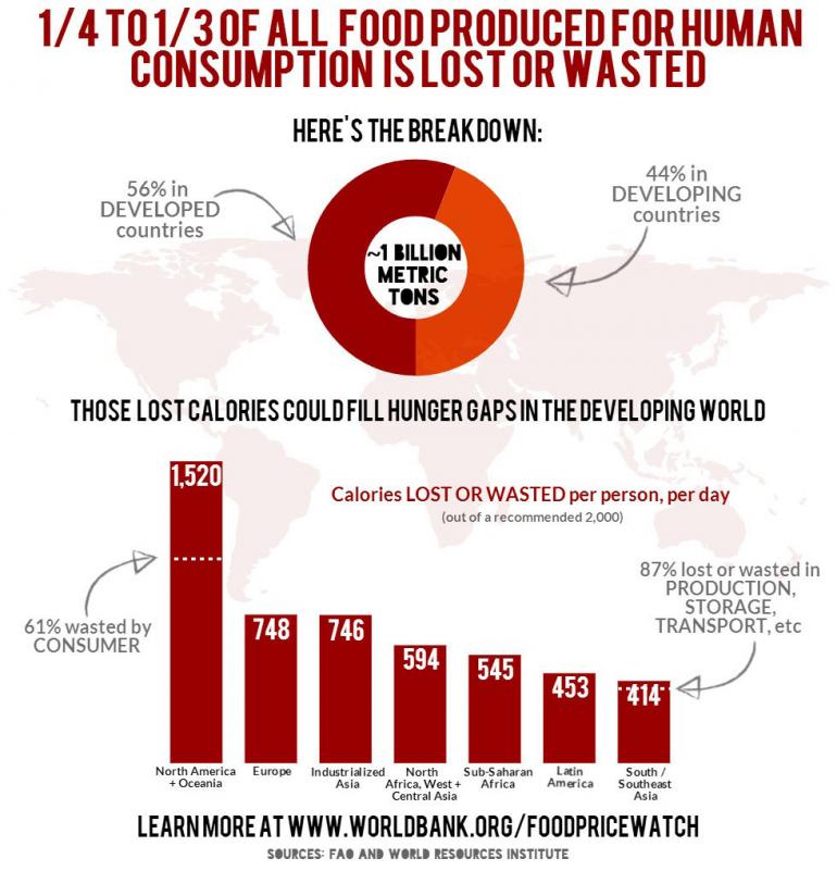 world-bank-food-infographic-2014-food-waste-statistics.jpg