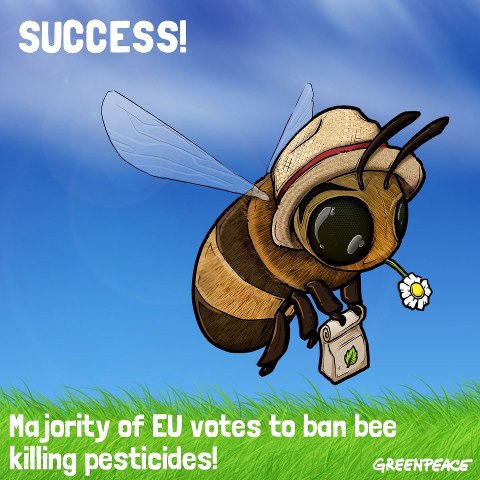 Bee_win.jpg
