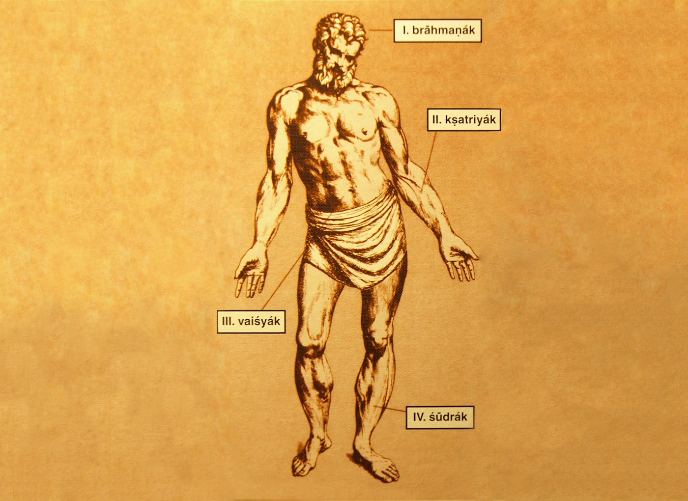 brahmana ksatriya vaisya sudra.jpg