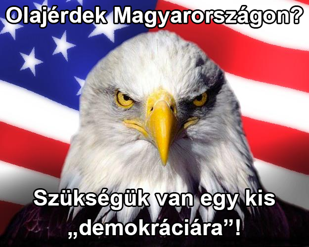 bunge usa.png