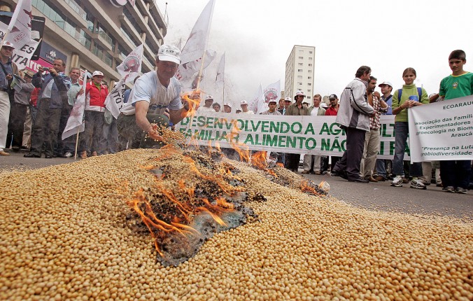 gmo-brazil-soybeans.jpg