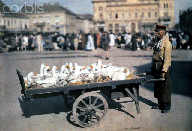 Beautiful Color Photos of Hungary in The Early of 1930s (2).jpg