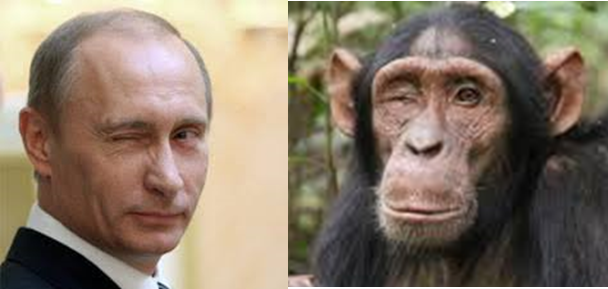Putyin, a majmok és a gyilkolás ösztöne