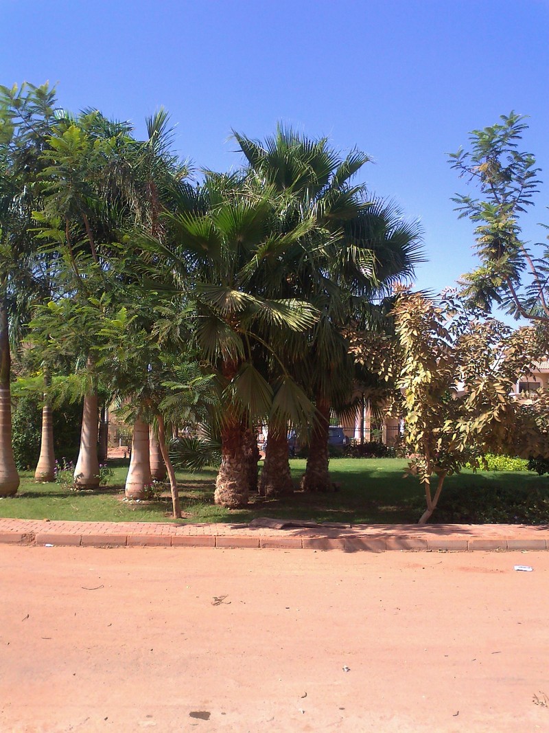 hatar6.jpg