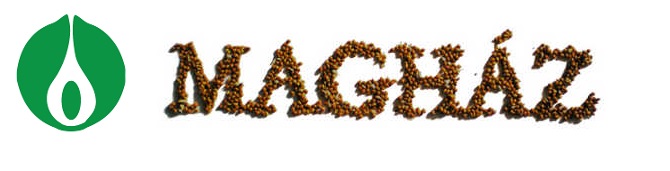 maghaz-logo.jpg