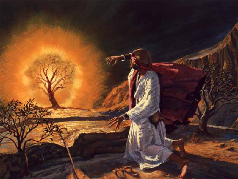 moses.jpg