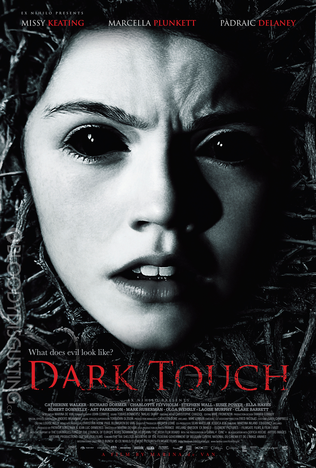 dark-touch-poster.jpg