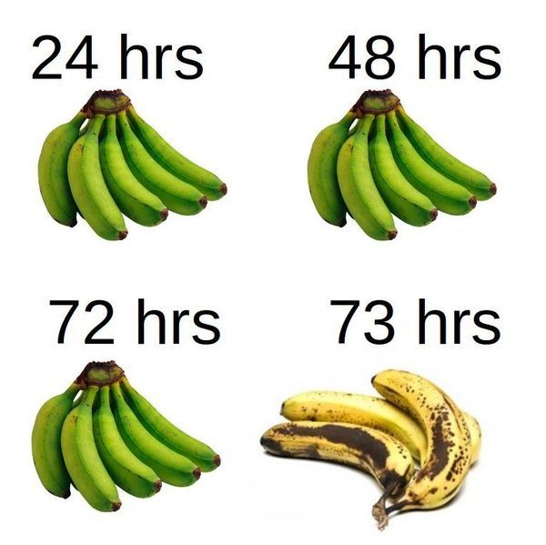 bananas-after-73-hours[1].jpg