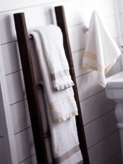 bathroom-ladder.jpg