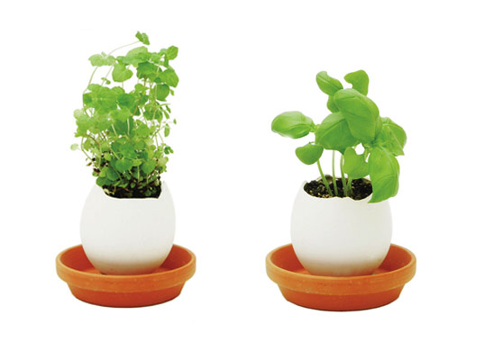 egg-plant_gardening.jpg