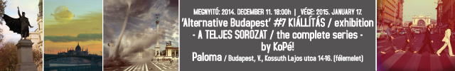bpalter-hird-paloma-640x100-banner.jpg