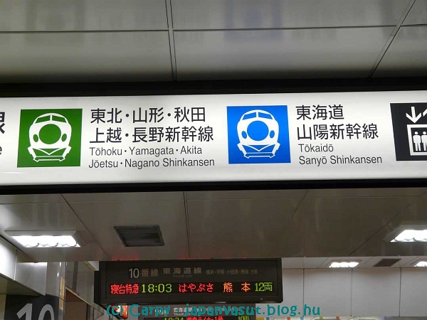 P1000380 logo kek-zold.jpg