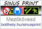 logo_sinusprint.png