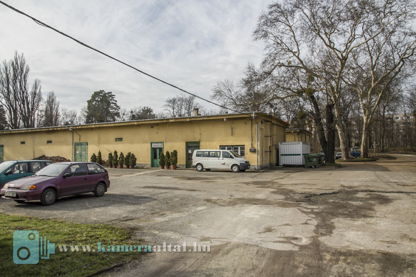 _MG_6432.jpg