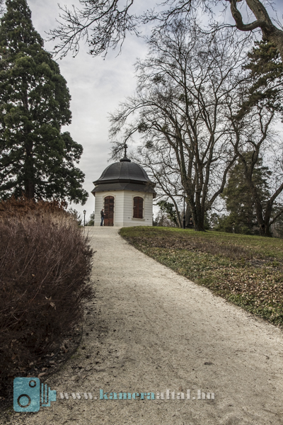 _MG_6440.jpg