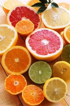 citrus 1.jpg