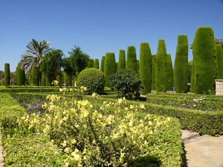 A cordobai Alcazar palota parkjában évszázadok óta jól érzik magukat az örökzöldek.jpg