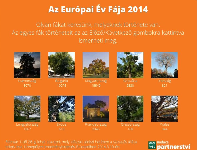 Európai év fája 2014.jpg