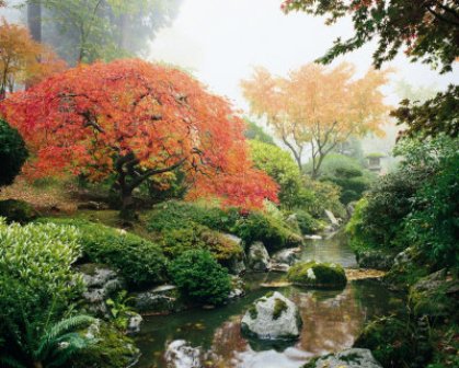 Japanese-Garden-3.jpg