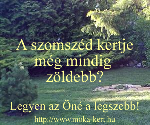 piheno-kert-banner2.png