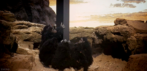 space1.gif
