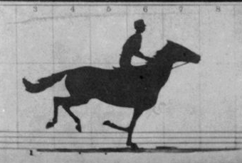 The_Horse_in_Motion-anim.gif