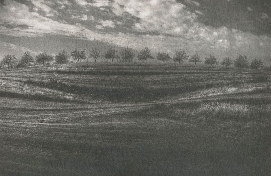 varga_tibor_oszi_taj_2013_argentotipia.jpg