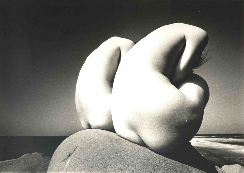 shinoyama2.jpg