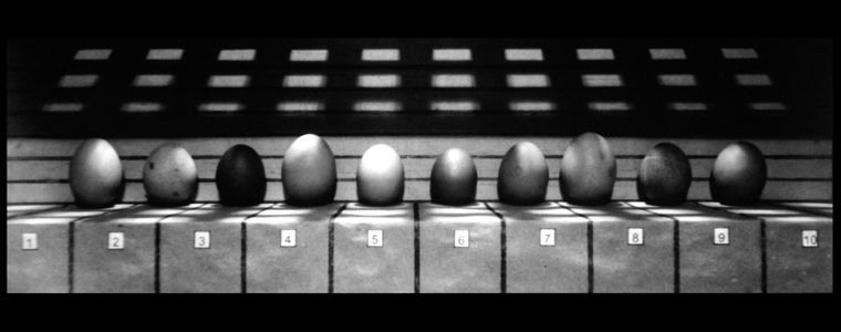 telekb.jpg