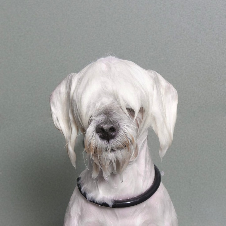Sophie%20Gamand01.jpg