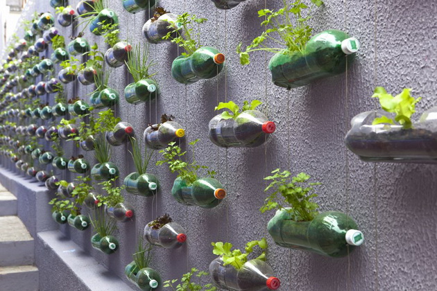 Függőleges kert műanyag palackokból