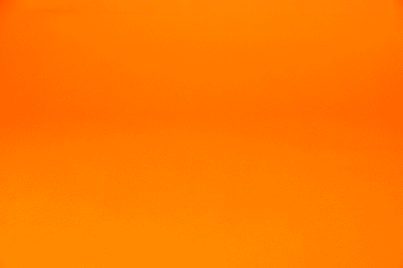 123.gif