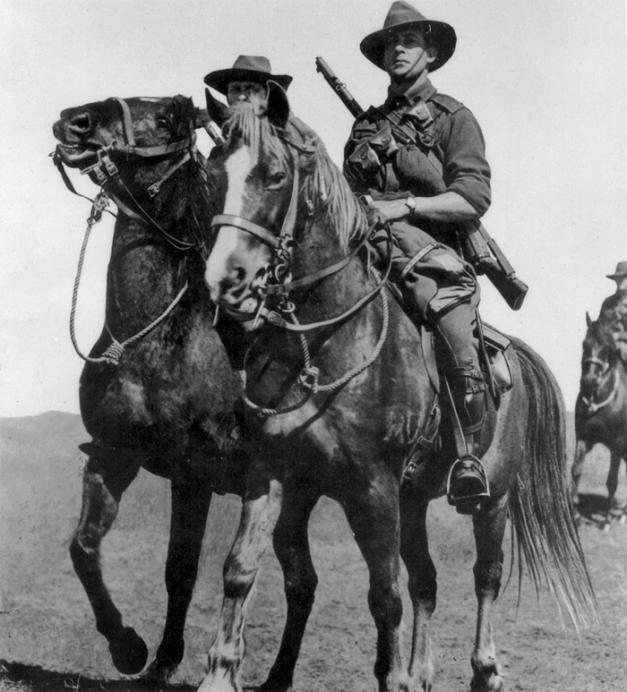 australian_light_horse_brigade_aif_gallipoli1.jpg